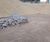 SubSoil supplied to RMC McRail Construction  1