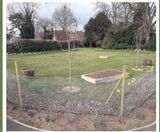 TOPSOIL donates HortLoam to Thetford cemetery - on this page