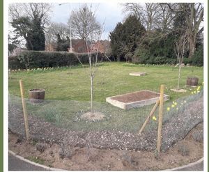 TOPSOIL donates HortLoam to Thetford cemetery