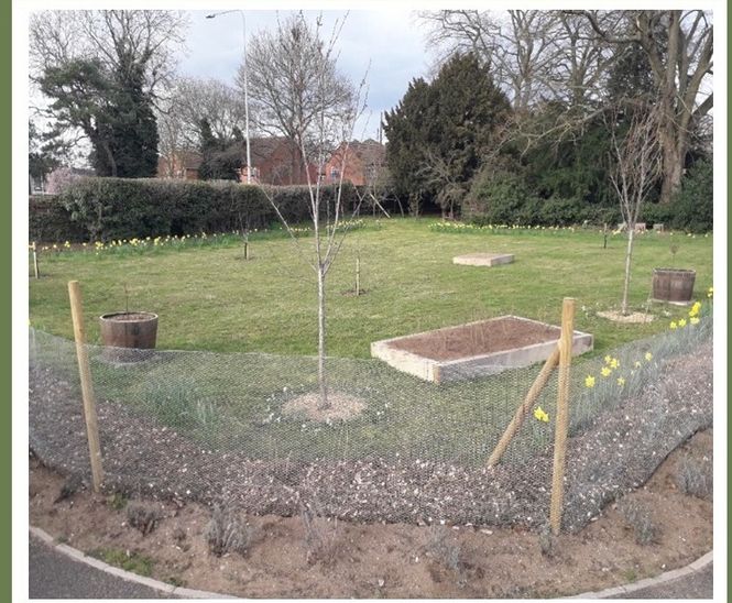 TOPSOIL donates HortLoam to Thetford cemetery