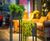 Oakley Planter Stand - metal indoor plant holder for 300mm cube pots 2