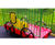 Play train and themed equipment, Abbotsfield Park 4