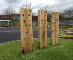 Charlestown Primary School