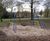 2.5m inclusive nest swing (4-14 years) 2