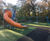 Refurbished play area for historic Bramall Hall parkland 0
