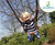 Single-bay swings (with & without barriers) 2