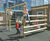 Activity Climbing Frame - 5 Linked Challenges 2