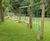 Unused Space in Essex Park Transformed into Inclusive Play Area 1