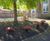 Toadstool Playground Seating 4