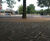Resin Bound Tree Pit Surfacing 8