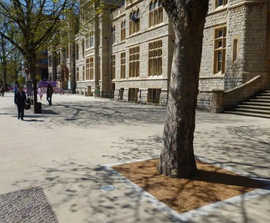 Resin bound, water permeable gravel tree pit surfacing
