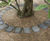 Resin Bound Tree Pit Surfacing 7
