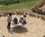 Speed Gyro - accessible HPL playground roundabout for 8 seated children 7