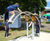 Double Perch Seesaw - steel spring rocker for 2 children, ages 4 and up 6