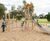 Origin' range of natural play equipment 1
