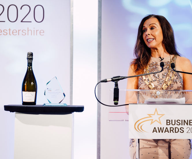 Top business award credits Proludic’s innovation in IT