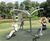 Creating a woodland-themed inclusive play space 2