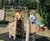 Creating a woodland-themed inclusive play space 4
