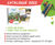 Proludic launches its 2022 Catalogue 0