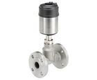 Type 2301 continuous globe control valve