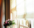 RB30 roman blind system