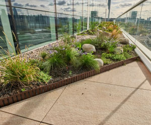 RoofEdge - steel edging for roof gardens and terraces