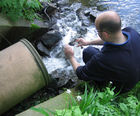 Environmental consultants