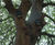 Ecological consultancy and contracting 11