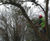 Ecological consultancy and contracting 1