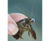Ecological consultancy and contracting 5