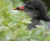 Ecological consultancy and contracting 6