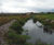Ecological consultancy and contracting 7