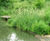 Floating reedbeds 10