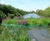 Floating reedbeds 11