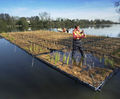 Floating reedbeds