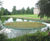 Floating reedbeds 6