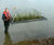 Floating reedbeds 7