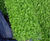 Biodiverse green roofs 0