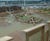 Biodiverse green roofs 9