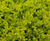 Biodiverse green roofs 6