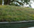 Biodiverse green roofs 7