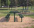 Centerline CL027 steel picnic set with disabled access 3