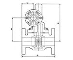 Taylorshaw parallel slide blowdown valve, class 250