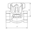 Taylorshaw globe non-return valve union, bonnet type