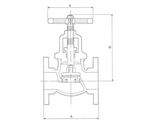Taylorshaw globe stop and non-return valve, ext. screw