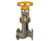 Shaw accessible bellows sealed valves 0