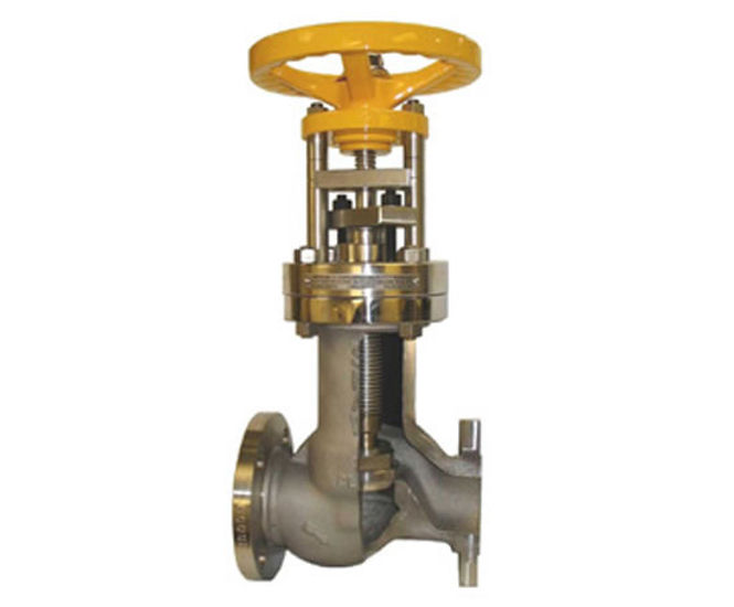 Shaw accessible bellows sealed valves