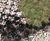 BodPave® 85 cellular porous pavers 0