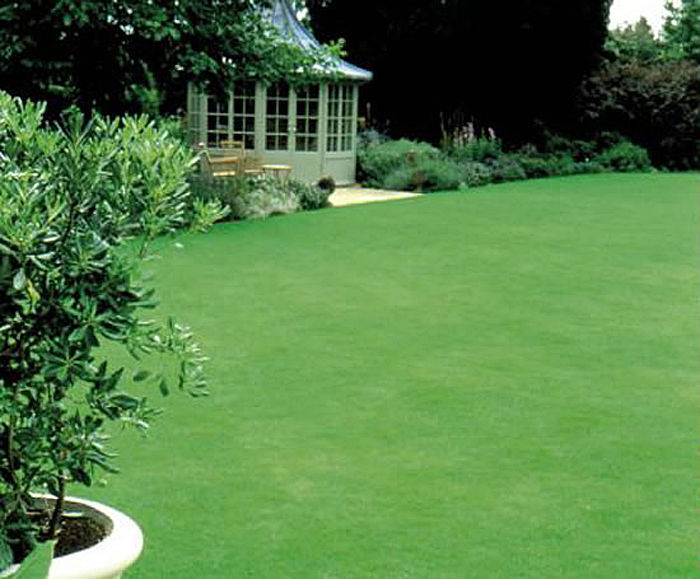 images-for-a26-so-green-grass-seed-mixture