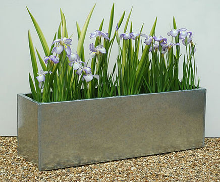 Galvanised trough planters